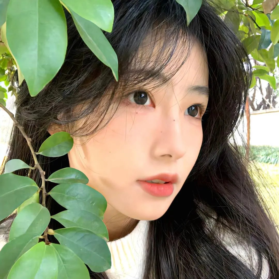 明月守护者