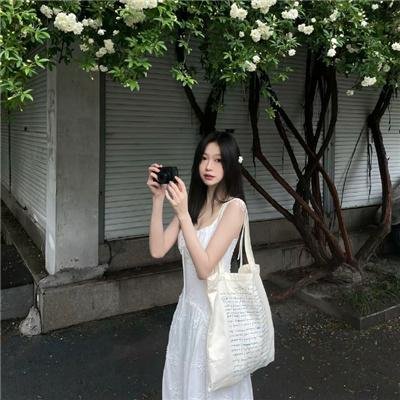 相思树